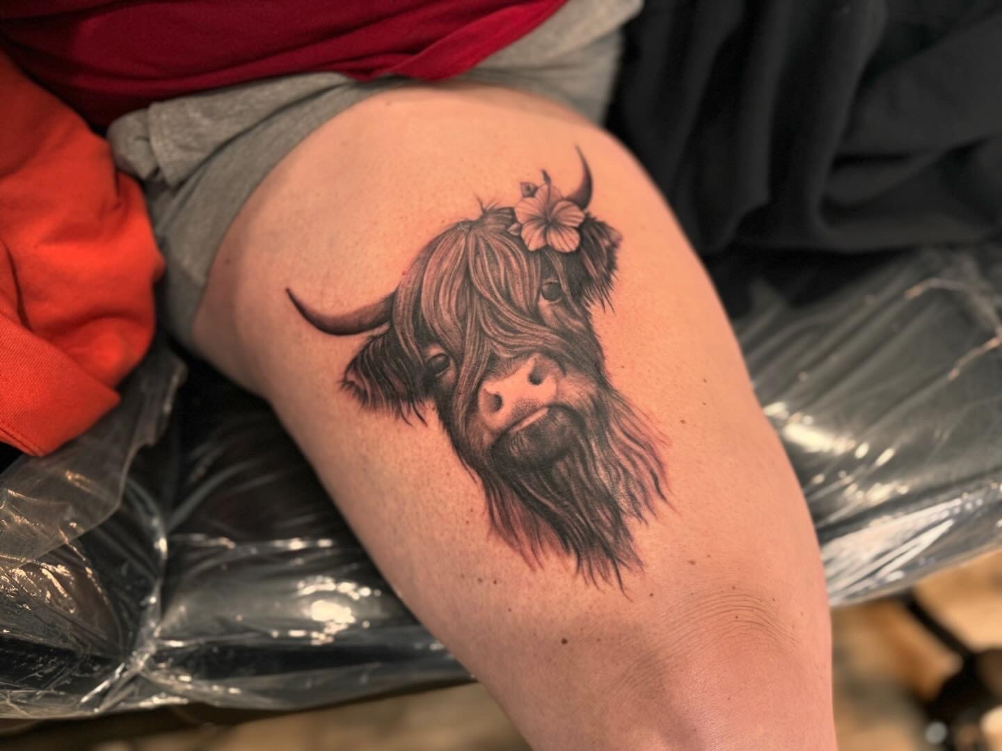 Highland cow tattoo