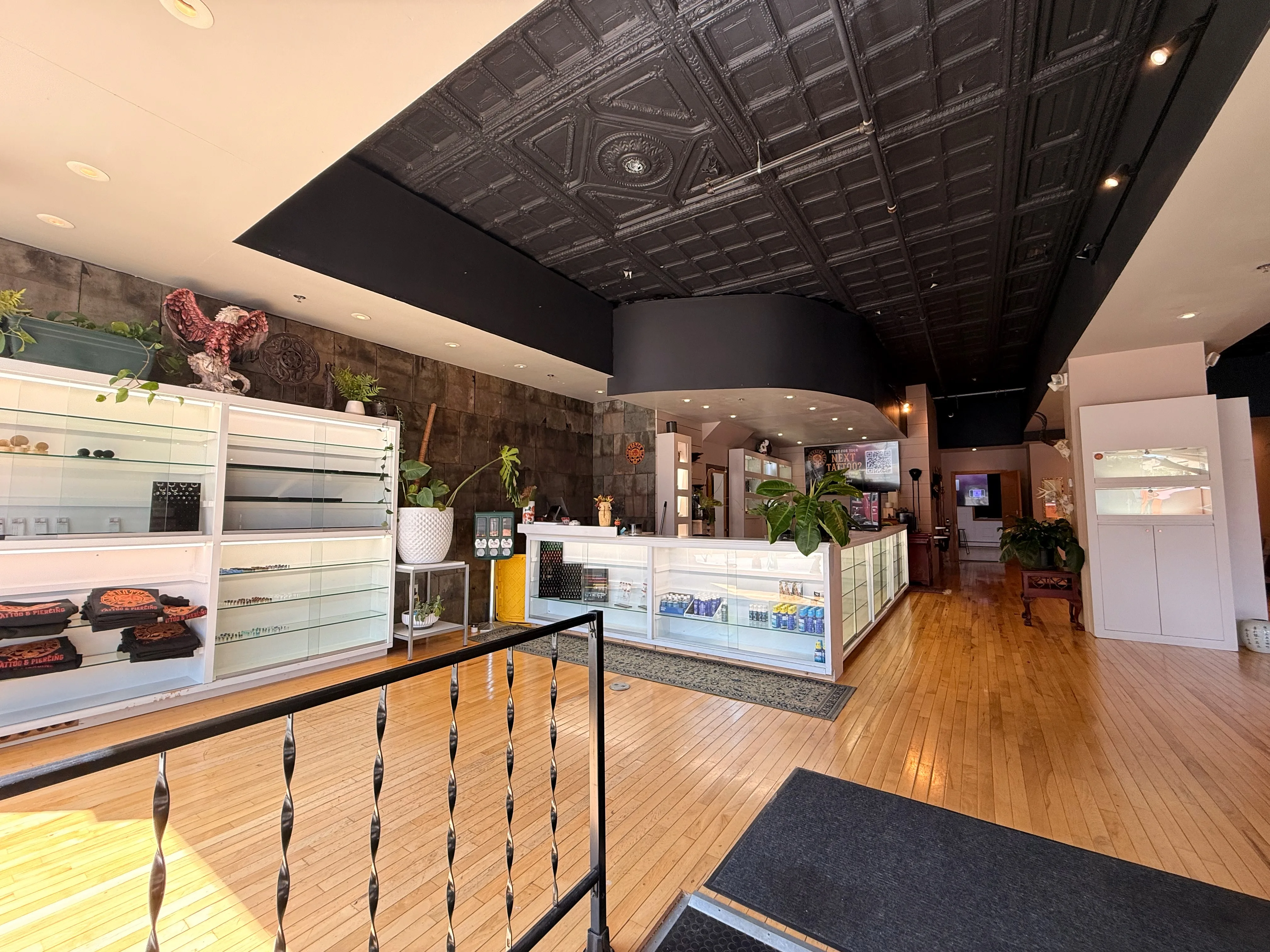 Front showroom with illuminated display cases and historic pressed-tin ceiling